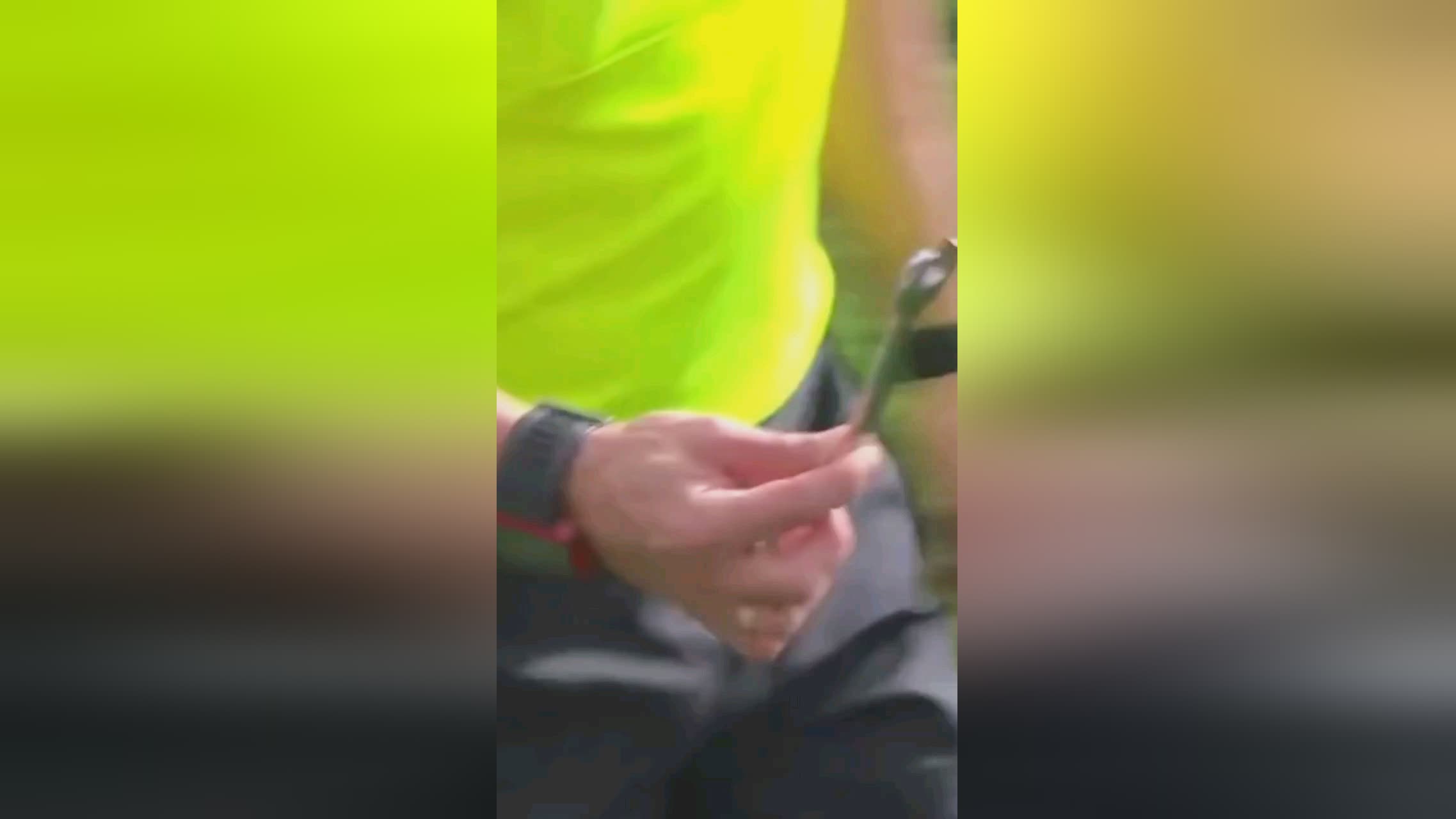 這一評論被